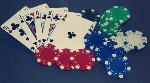 955bet com 9